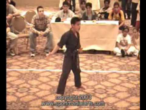 Taylor Lautner - Sport Karate / Martial Arts Trick...
