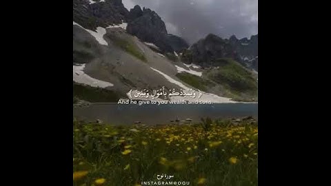 سورة نوح بصوت عبدالله كامل