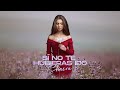 Shaira - Si No Te Hubieras Ido