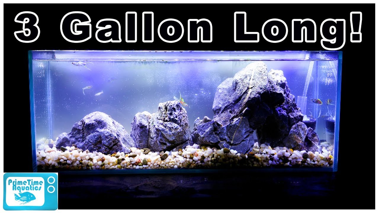 3 Gallon Long Aquarium Simple Desktop Setup - Easy to Maintain