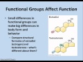 Quiz on Molecules of Cells