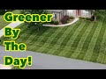 How To Get Your Lawn Care BACK on TRACK