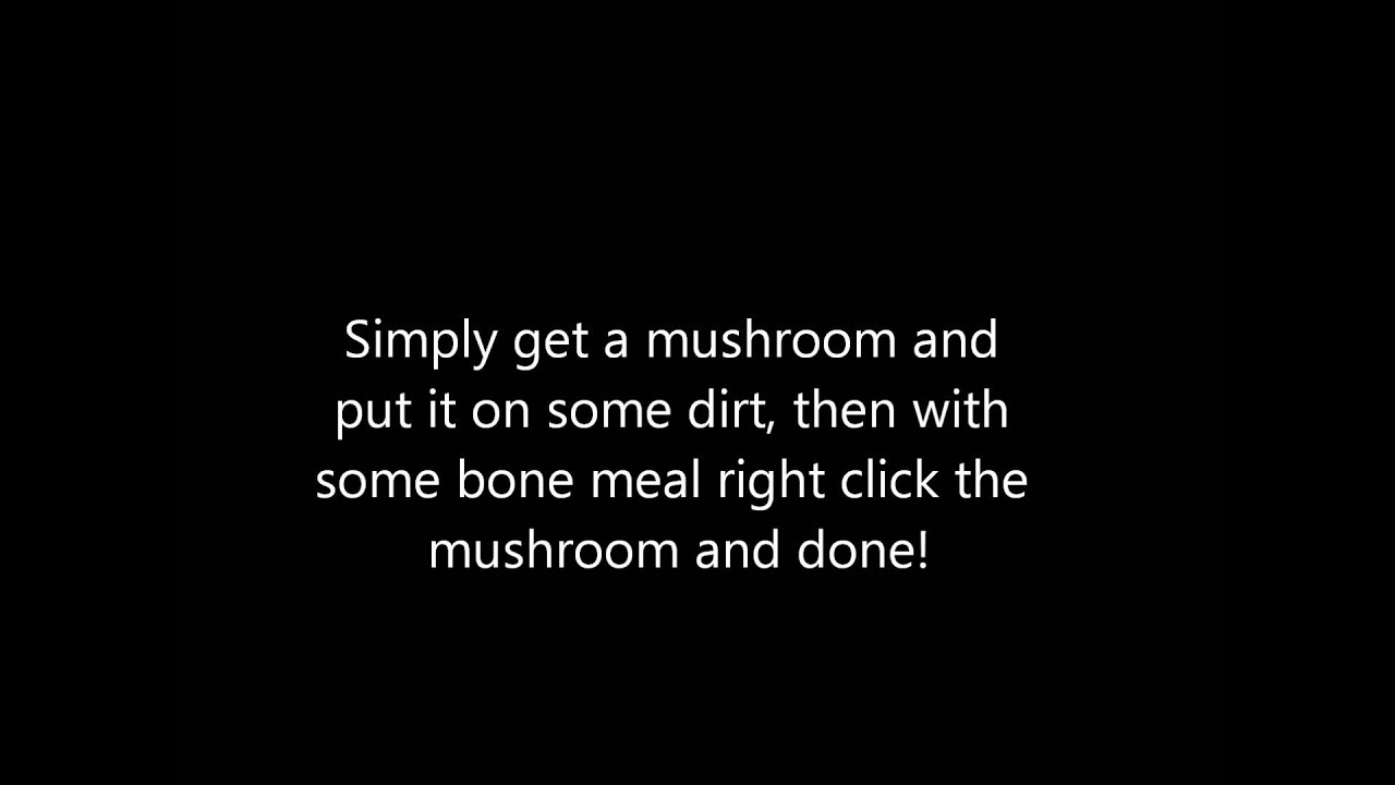 How To Make A Mushroom Tree On Minecraft - YouTube
