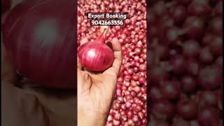Fresh onion 🧅 available for booking contact@SSInternational_ImportExports#agriculture#onion#export