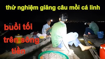 giăng Câu Mồi Cá Linh , Săn Lùng Thủy quái Trắng Sông Tiền # SĂN BẮT ĐỒNG THÁP #