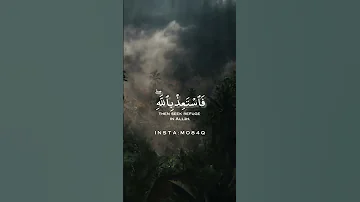 و إما ينزغنك من الشيطان نزغ فاستعذ بالله اسلام صبحي 