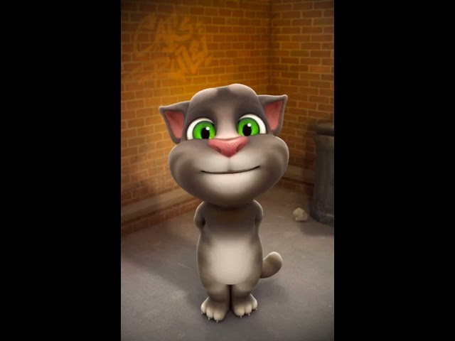 talking tom abcdefghijklmnopqrstuvwxyz qwertyuiopasdfghjklzxcvbnm