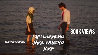 Miniatura de vídeo de "Tumi dekhcho jake vabcho jake | Lofi Song |"