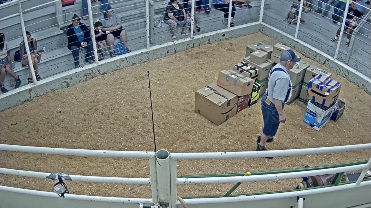 Everson Auction Market Live Stream 06/05/2023 YouTube