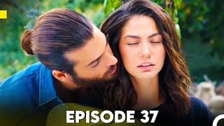 Daydreamer Episode 37 Hindi-Urdu Dubbed