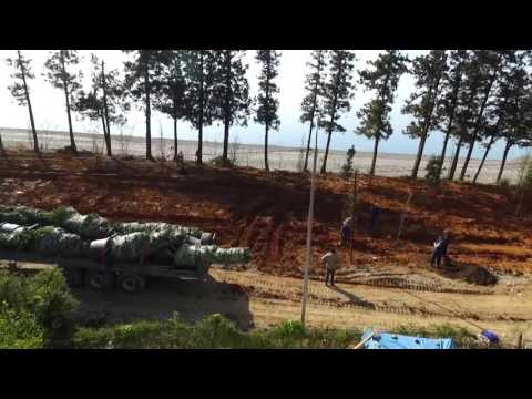 ციხისძირში სკვერის მშენებლობა დაიწყო