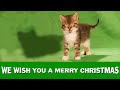 Jingle Cats "We Wish You a Merry Christmas"