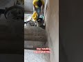 step installing #marbel #tiles #warking skill #shorts #ytshorts #bajrangbali #tiles