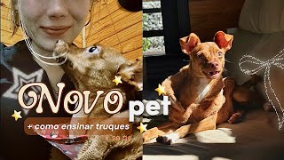 Nova Integrante da Família 🫶🏻🐾