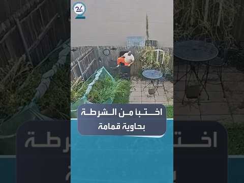 سجين يهرب من الشرطة ويختبئ داخل حاوية قمامة