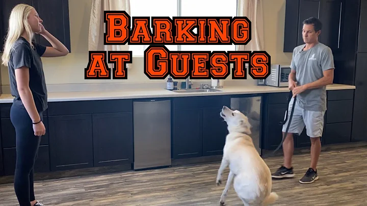 Does your dog bark at people coming to the house? - DayDayNews