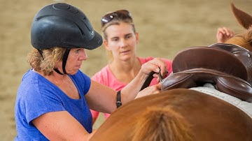 5 Questions to Ask Your Riding Instructor