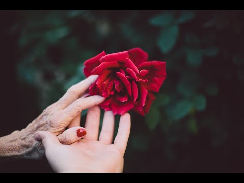 Beautiful Spanish Guitar Music: PORCELAIN ROSE - Al Marconi