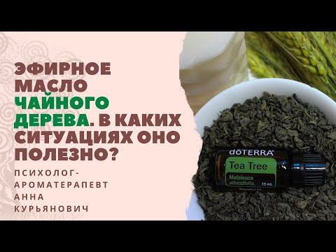 Масло Чайного дерева. В каких ситуациях и как его применять