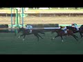 【現地映像】AJCC2026 アメリカジョッキークラブカップ|想定外の展開…最後に伸びたのは誰だ?