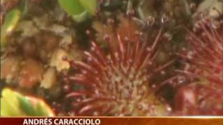 Parque Tantauco. Destino turístico de belleza natural - CANAL 13 2011
