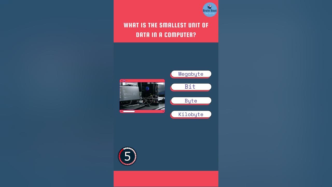 What is the smallest unit of data in a computer shorts youtubeshorts