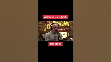 Will bees go extinct p1