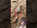 #horror #danger #creepy #animals #creature #bhojpurisong #simplemehndi #marblemusic #song #saiyaara