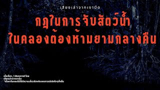 กฎในการจับสัตว์น้ำในคลองต้องห้ามยามกลางคืน [Rules of Horror]