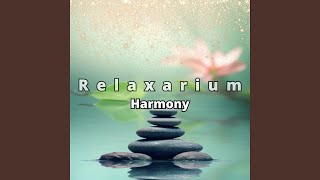 Harmony and Bliss