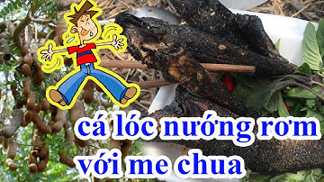 cá lóc nướng rơm dưới gốc cây me bắt cá miền tây| Bếp Than Hồng