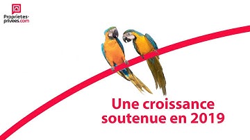 Rétrospective 2019 Proprietes-privees.com