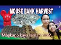 MAGKANO NAIPON NI CHARMEL SA MOUSE BANK NYA | IPON 2021 | Melgabar Je Vlog