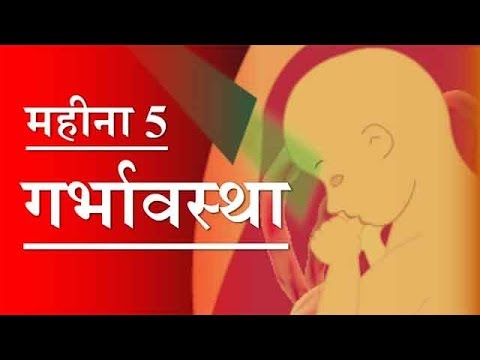 five month pregnancy in hindi
