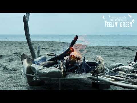 SOUND TRIP 三浦半島「焚火カフェ」