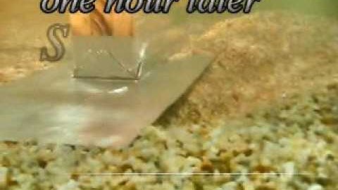 Scour: Rectangle Pier Flat Plat FA20