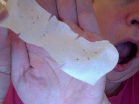 BIORE PORE STRIP REMOVAL: TONS OF BLACKHEAD GONE FOREVER ...