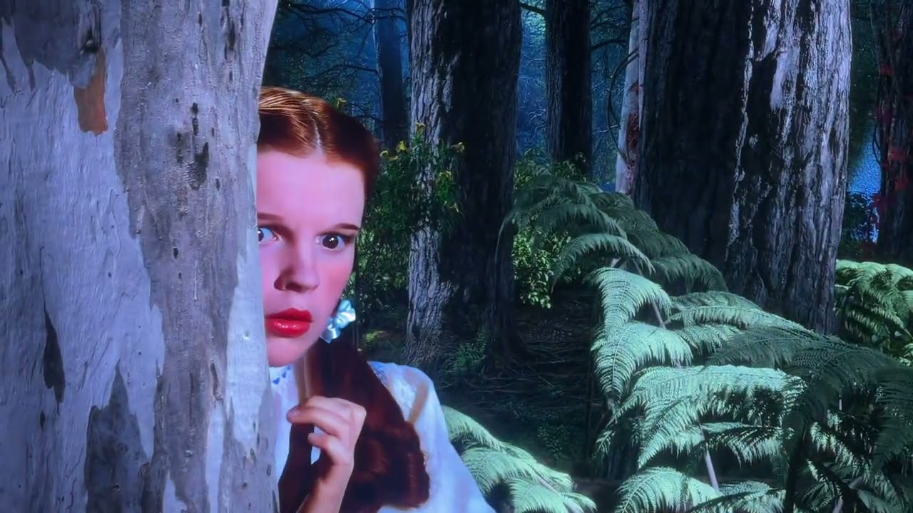 Lions and tigers and bears! Oh my! ￼