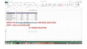 Excel Fine Art Dealer Solution with Step-By-Step How-To-Solve Guide