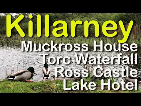 Vídeo: Explorant Killarney en una excursió amb cotxe de passeig