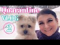 Quarantine VLOG 2 |  Hair Training, Pets, Easter | Nadia Beez