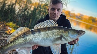 картинка: Результативний СТРІТФІШИНГ у Вінниці! Як завжди ловити багато?