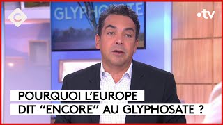 Glyphosate : pourquoi l’Europe dit “encore” - L’Édito - C à vous - 16/11/2023