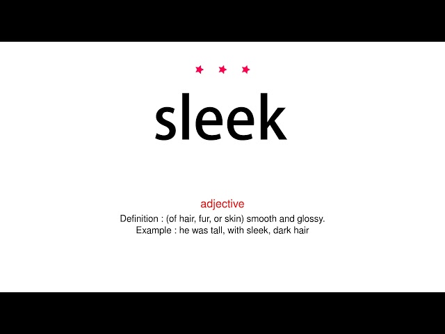 SLEEK definition in American English