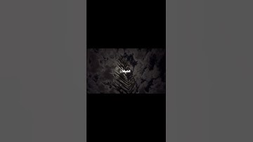 سورة الأنعام 21-22، الشيخ محمد ايوب #محمد_ايوب #قرآن #quran