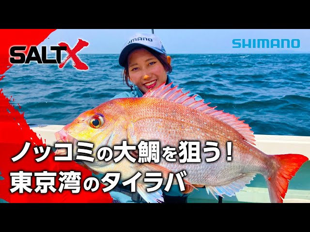 SALT X NO.50 Aiming for big sea bream! Tairaba in Tokyo Bay