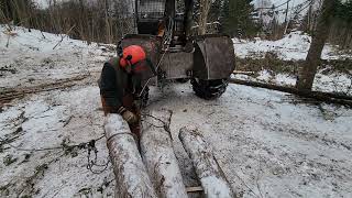 Logging with Dad (80 years old) Feb 2024