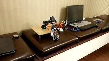 Robotic Arm - Project assignment for Skyfi Labs online course - by Sreenath