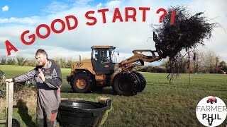 TIME TO MAKE A START! | FENCING, BUSHING & LETTING CATTLE OUT