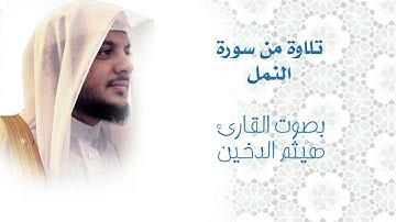 هيثم الدخين تلاوة من سورة النمل